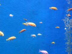 -欢乐海岸海洋奇梦馆