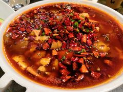 -庆合府重庆大排档(紫都城店)