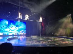 -重庆国际马戏城