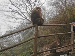 -峨眉山风景名胜区