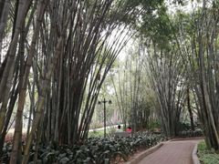 -晓港公园