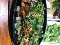 -杨家崴子碳缸烧烤(东三马路店)