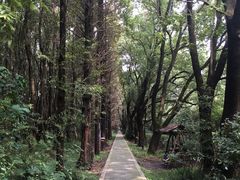 -同里国家湿地公园