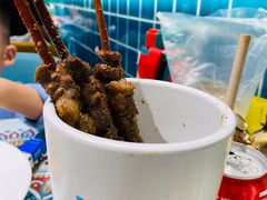 红柳羊肉串-楼兰古丽·新疆菜(大唐西市店)