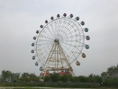 -白洋淀景区
