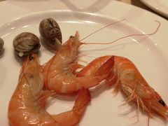 -上海浦东丽晟假日酒店-多瑙河全日餐厅
