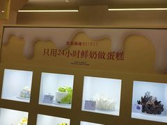 -红星前进面包牛奶公司(君太店)