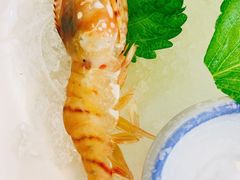 -真剑日本料理·铁板烧(贵州路店)