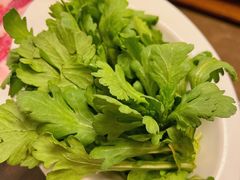 茼蒿-南门涮肉(后海店)