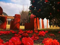 -中国天府农业博览园