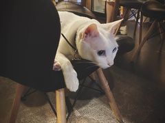 -Doors独立剧情密室(东门分店)