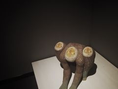 -杭州当代美术馆