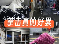 -M.S拳击泰拳馆(大学路店)