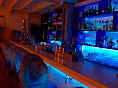 -Sirena海妖日咖夜酒