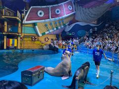 -烟台海昌鲸鲨海洋公园