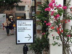 -中环半山扶手电梯