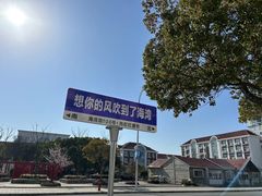 -奉贤海滩