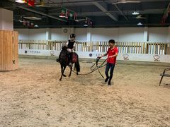 -李振强马术运动推广中心(南城店)