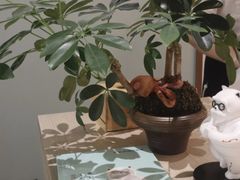 -长风拨筋养身(蟠龙天地店)