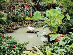 -青城甲(青城山店)