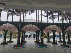 -海合安成都极地海洋公园