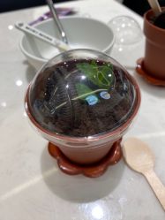 -MINI MARS KIDS CLUB亲子家庭中心(杨浦黄兴店)