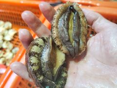 -巽寮印象美食部落餐厅·海鲜·地方特色菜(惠州体验店)