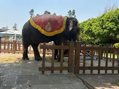 -云南民族村