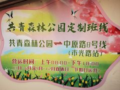 -上海共青森林公园