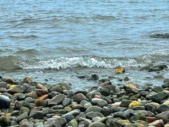 -银沙滩浴场