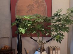 -蘇锦宴·淮扬菜烤鸭·小院(三元桥霄云路店)