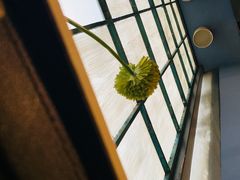 大堂-84那年咖啡馆(李沧万达店)