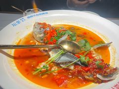 -坛宗剁椒鱼头(河西王府井店)