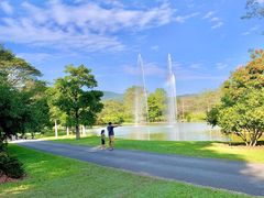 -中国科学院西双版纳热带植物园