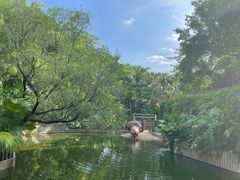 -深圳野生动物园
