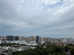 -仙岳公园