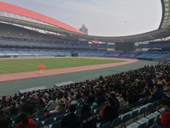 -南京奥林匹克体育中心-体育馆