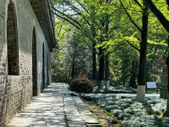 -灵谷景区