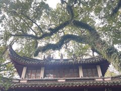 -蒋氏故居