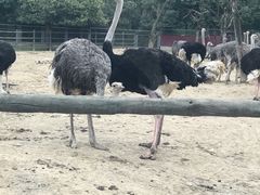 -西安秦岭野生动物园