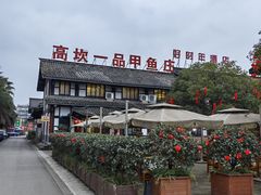 -高坎一品甲鱼庄(两河店)