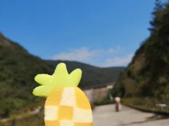 -清溪森林公园