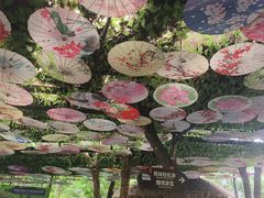 -呀诺达热带雨林