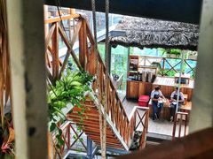 -Rainforest
