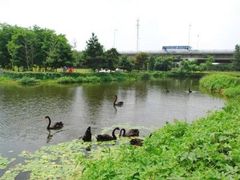 -长白岛森林公园