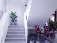 -青梅酒肆PLUS(长白仙岛北路店)
