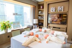 -巍阁高端月子会所