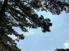 -黄山风景区