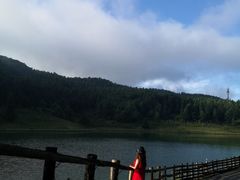 -武陵山森林公园