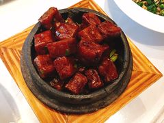 -沪碟·精菜坊(闵行店)